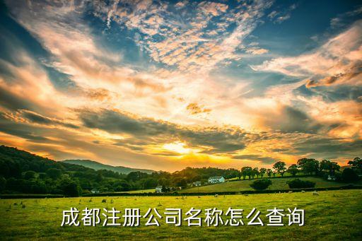  成都注册公司名称怎么查询
