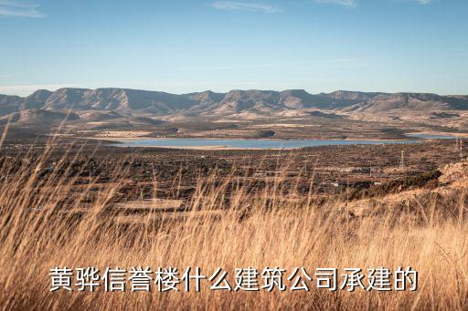 黄骅信誉楼什么建筑公司承建的