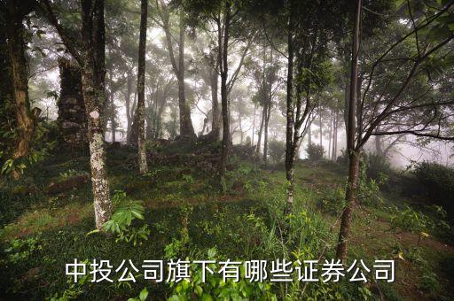  中投公司旗下有哪些证券公司