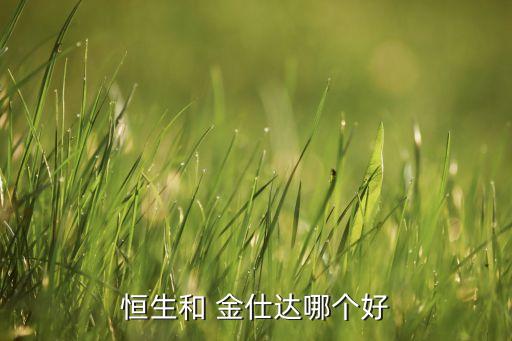 恒生和 金仕达哪个好